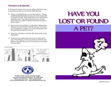 Prevention is the Best Bet... To increase the chances that your pet will get safely back home to you if they are lost you can take the following steps:  Always have identification on your dogs and cats. The tag should