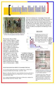 Medicinal plants / Middle States Association of Colleges and Schools / State University of New York / State University of New York College of Environmental Science and Forestry / Ash / Fraxinus pennsylvanica / Fraxinus / Flora of the United States / Adirondacks / New York State College of Forestry