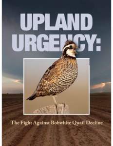 RUSSELL GRAVES  UPLAND URGENCY:  The Fight Against Bobwhite Quail Decline