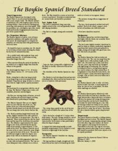 The Boykin Spaniel Breed Standard General Appearance The Boykin Spaniel was developed in the United States as an all-around hunting dog, with a neat compact body. The Boykin Spaniel is medium in size, with emphasis place