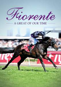 orente  A GREAT OF OUR TIME Fiorente is the most resilient, beautifully natured horse. He’s never