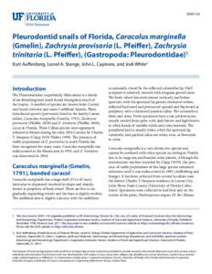 EENY118  Pleurodontid snails of Florida, Caracolus marginella (Gmelin), Zachrysia provisoria (L. Pfeiffer), Zachrysia trinitaria (L. Pfeiffer), (Gastropoda: Pleurodontidae)1 Kurt Auffenberg, Lionel A. Stange, John L. Cap