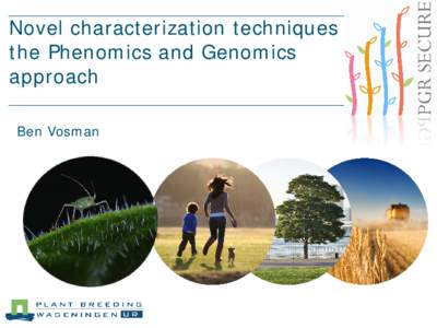 Novel characterization techniques the Phenomics and Genomics approach Ben Vosman  The Problem: