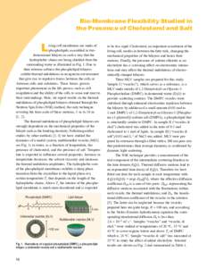 Bio-Membrane Flexibility Studied in the Presence of Cholesterol and Salt L  iving cell membranes are made of