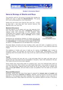 General Biology of Sharks and Rays