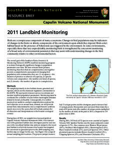 Capulin Volcano National Monument / Prunus salicifolia / Transect / Volcanism / Bluebird / Geography of the United States / New Mexico / Extinct volcanoes / Environmental statistics