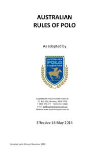 Polo / Official / Handicap / Ejection / Umpire / Sports / Ball games / Team sports