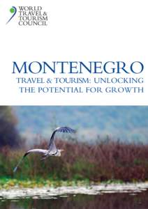 Montenegro TRAVEL & TOURISM: Unlocking the Potential for Growth CHAIRMAN: Geoffrey J W Kent