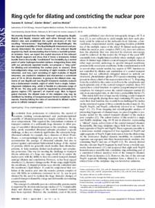 Ring cycle for dilating and constricting the nuclear pore Sozanne R. Solmaz1, Günter Blobel1, and Ivo Melcák1 Laboratory of Cell Biology, Howard Hughes Medical Institute, The Rockefeller University, New York, NY 10065