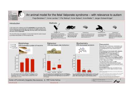 An animal model for the fetal Valporate syndrome – with relevance to autism Freja Bertelsen1,2, Anne Landau1,2, Pia Weikop3, Anne Sabers4, Arne Møller1,2, Jørgen Scheel-Krüger1 Methods  Introduction