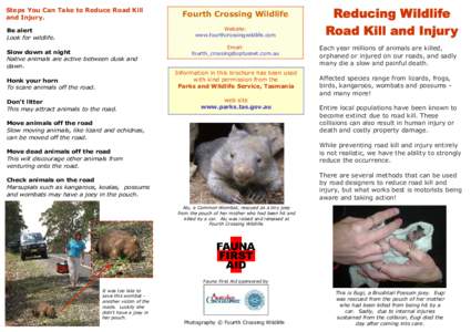 Steps You Can Take to Reduce Road Kill and Injury. Fourth Crossing Wildlife Website: www.fourthcrossingwildlife.com