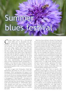 Summer blues festival C raving classic blues? I’m a self-confessed blues addict and, for aficionados like me,