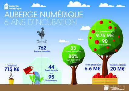 AUBERGE NUMÉRIQUE 6 ANS D’INCUBATION C.A. générés enM€ 90