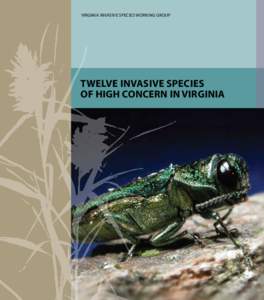 VIRGINIA INVASIVE SPECIES WORKING GROUP  Twelve Invasive Species of High Concern in Virginia  Photo credits:
