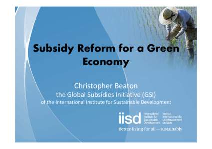 Environment / Biofuel / Energy subsidies / Environmental impact of transport in Australia / Subsidies / Sustainability / Energy