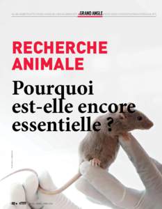 Grand Angle • Médecine générale • Entreprendre • Opinions • Stratégies • Bloc-Notes  • à la une • découvertes • Têtes chercheuses • regards sur le monde • Cliniquement vôtre ➜ Recherche anim