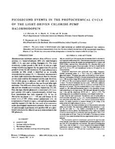 PICOSECOND EVENTS IN THE PHOTOCHEMICAL CYCLE OF THE LIGHT-DRIVEN CHLORIDE-PUMP HALORHODOPSIN H.-J. POLLAND, M. A. FRANZ, W. ZINTH, AND W. KAISER Physik Department der Technischen Universitat Miunchen, Muinchen, Federal R