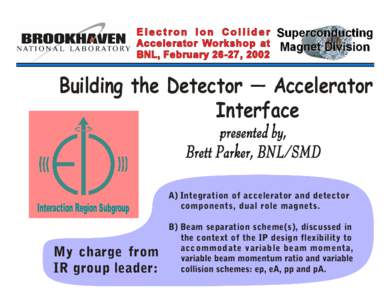 B uilding the D etector — A ccelerator Interface Interaction Region Subgroup  My charge from