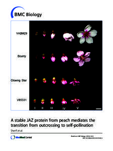 A stable JAZ protein from peach mediates the transition from outcrossing to self-pollination