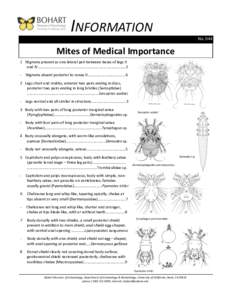 INFORMATION No. 044 Mites of Medical Importance 1 Stigmata present as one lateral pair between bases of legs II and IV…………….…………………..…………………….….…..………………2