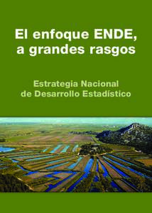 El enfoque ENDE, a grandes rasgos Estrategia Nacional de Desarrollo Estadístico  La Estrategia Nacional