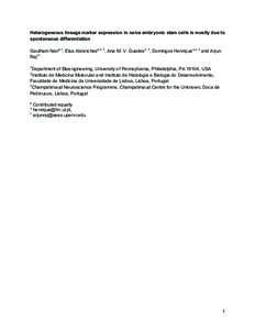 Heterogeneous lineage marker expression in naive embryonic stem cells is mostly due to spontaneous differentiation Gautham Naira,1, Elsa Abranchesa,2, 3, Ana M. V. Guedes2, 3, Domingos Henrique*,2, 3 and Arjun Raj†1 1