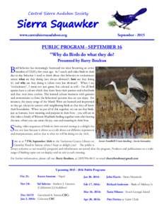 Christmas Bird Count / Tuolumne County /  California / Birdwatching / National Audubon Society