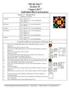 “Oh My Stars” Section 10 “August 2011” Individual Block instructions Section 10 – Darting Birds (Make one 12