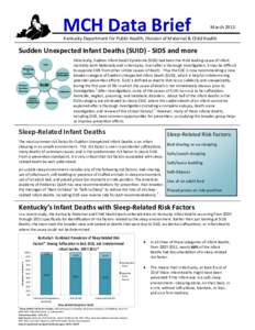 MCH Data Brief  March 2013 Kentucky Department for Public Health, Division of Maternal & Child Health