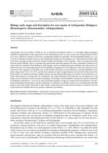 Biology / Tryphoninae / Adelognathinae / Labeninae / Xoridinae / Lycorina / Hymenoptera / Ichneumonoidea / Braconidae / Ichneumonidae / Phyla / Protostome