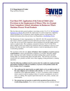 Youth / 75th United States Congress / Fair Labor Standards Act / Macroeconomics / Occupational Safety and Health Administration / Risk / Child labor laws in the United States / Wage and Hour Division / Occupational safety and health / Child labor in the United States / Safety / Minimum wage