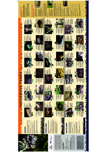 Mornington Fauna 2013 PRINT.pdf