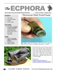 The  ECPHORA The Newsletter of the Calvert Marine Museum Fossil Club