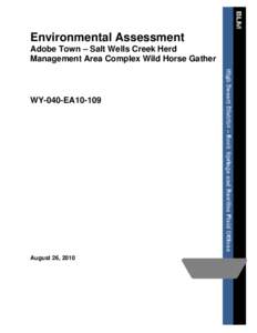 Environment of the United States / Bureau of Land Management / Conservation in the United States / United States Department of the Interior / Wildland fire suppression / Horse / Pryor Mountains Wild Horse Range / Equidae / Land management / Feral horses