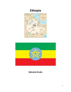 Microsoft Word - Ethiopia Final.docx