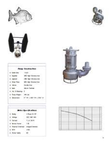 Piranha  Severe Duty Agitator Slurry Pump Model P-10-A 10 HP / 4 Inch Discharge 230v/460v/three phase