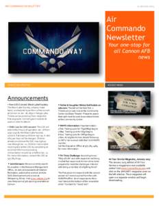 AIR COMMANDO NEWSLETTER  21 January 2015 Air Commando