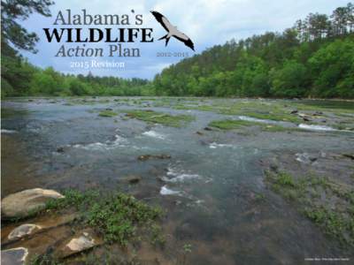 [removed]Revision Cahaba River, Photo by Alan Cressler