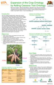 Expansion of the Crop Ontology by Adding Cassava Trait Ontology Peter Arthur Kulakow1*, Moshood Agba Bakare1, Elizabeth Arnaud2, Rosemary Shrestha3 *1International Institute of Tropical Agriculture, IITA, PMB 5320, Ibada