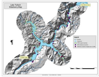 r ee k  Fr e Lake Tulloch Elderberry Map