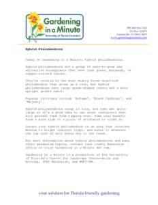 Gardening in a Minute Radio Transcript