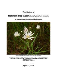 The Status of  Northern Bog Aster (Symphyotrichum boreale) in Newfoundland and Labrador  (photo used with permission from John E. Maunder)