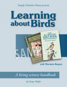 Learning about Birds with Thornton Burgess