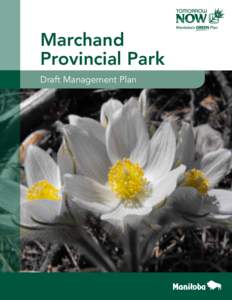 Marchand Provincial Park Draft Management Plan