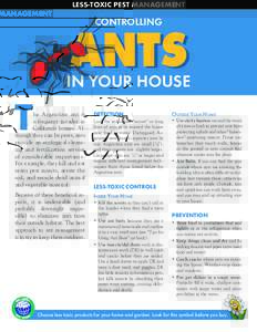Controlling Ants in Your House