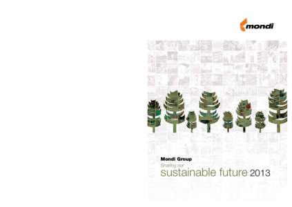 For further information, please see: IR SSF  SD Sustainable development report 2013