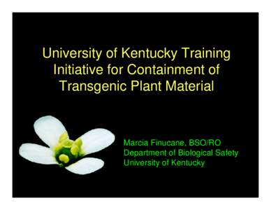 University of Kentucky Training Initiative for Containment of Transgenic Plant Material Marcia Finucane, BSO/RO Department of Biological Safety
