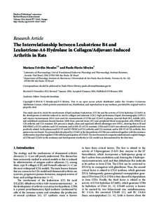 The Interrelationship between Leukotriene B4 and Leukotriene-A4-Hydrolase in Collagen/Adjuvant-Induced Arthritis in Rats