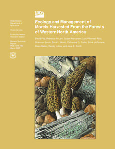 Mycology / Tree of life / Morchella / Edible mushroom / Non-timber forest products / M. esculenta / Matsutake / Mushroom / Cantharellus / Edible fungi / Pezizales / Food and drink