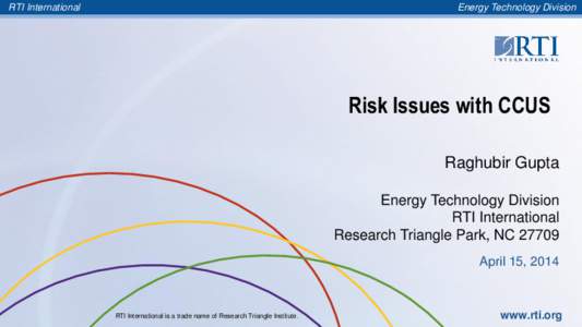 Energy Technology Division  RTI International Risk Issues with CCUS Raghubir Gupta